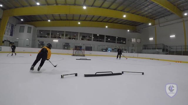 Pittsburgh Pro Hockey Highlights 2017 смотреть онлайн