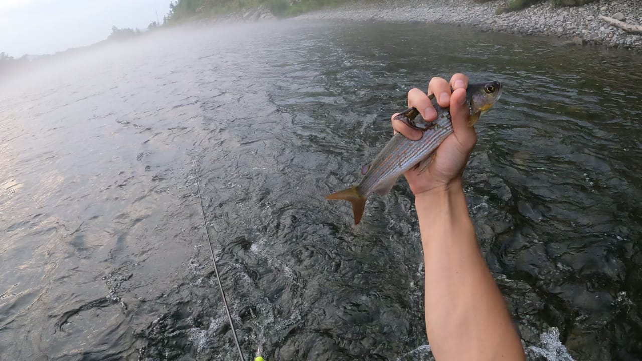 Рыбалка на прижимах. Река Анюй.