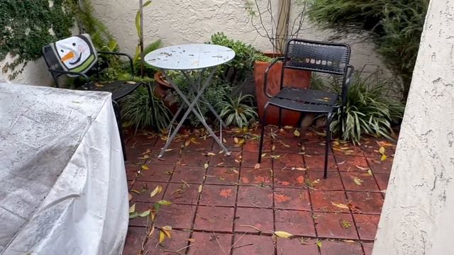 Утро будней / Первый град / Вечерняя настолка