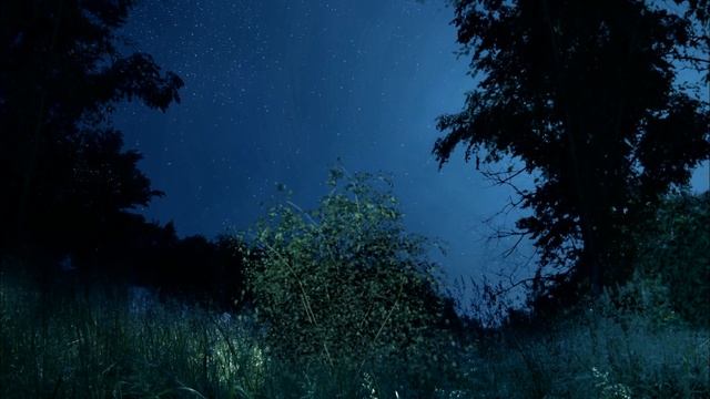 ЧГК: крик совы