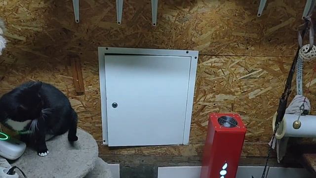 Кисоньки мерзнут смотреть онлайн