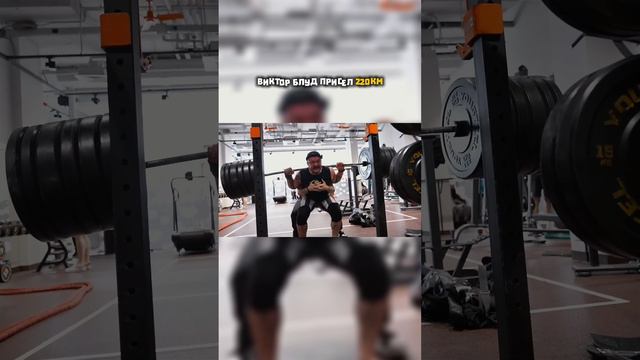 220 КМ ПРИСЕД смотреть онлайн