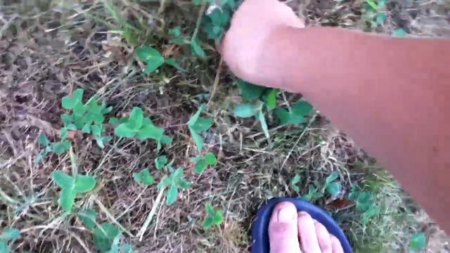 Как сделать мину с водой из пакета смотреть онлайн