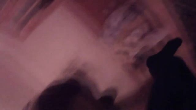 Вид от 1 лица(камера:Bullet FullHD 1080p)