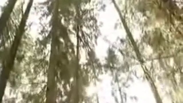 Упражнения для нас. смотреть онлайн