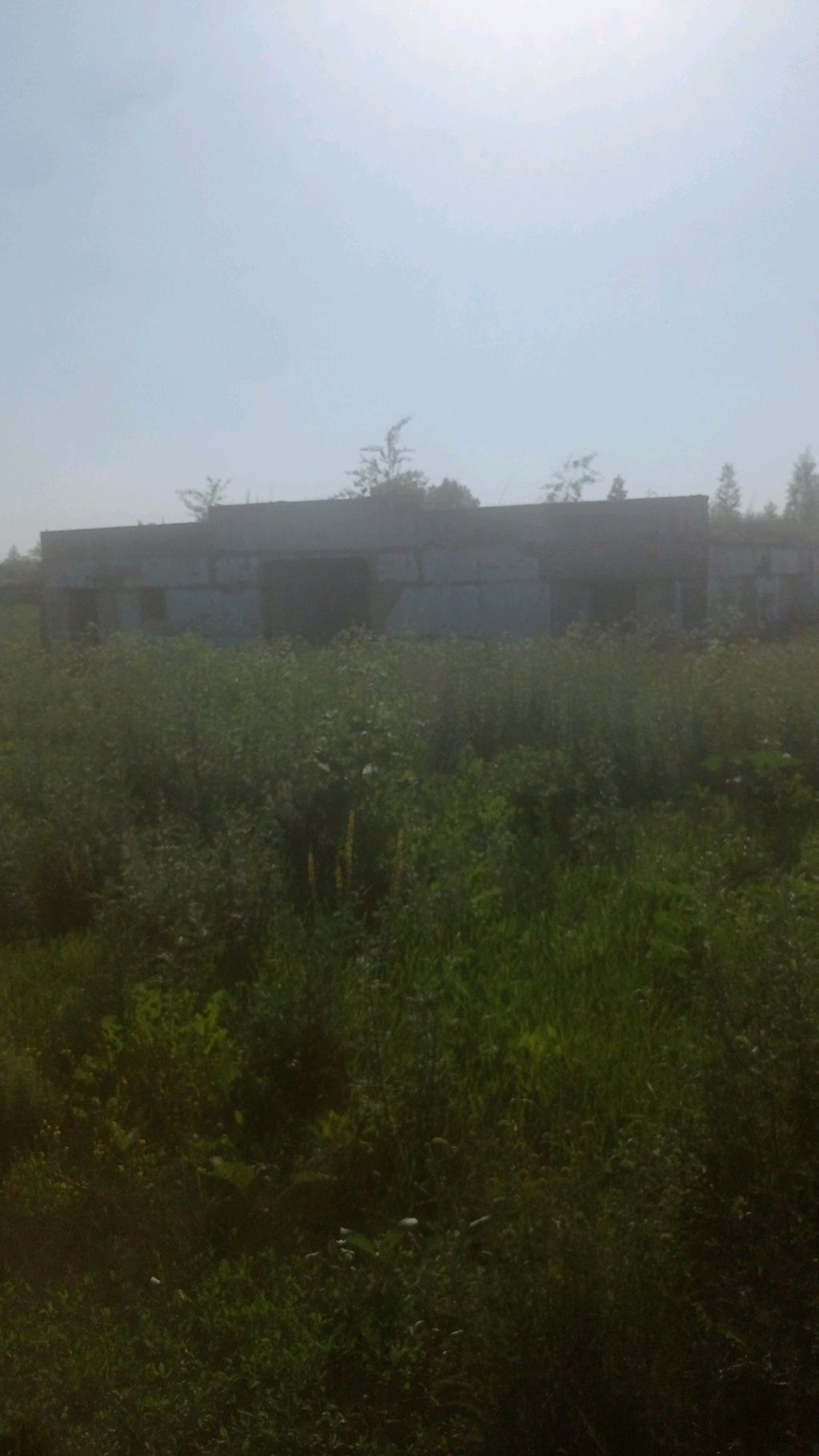 как мы ждём метал