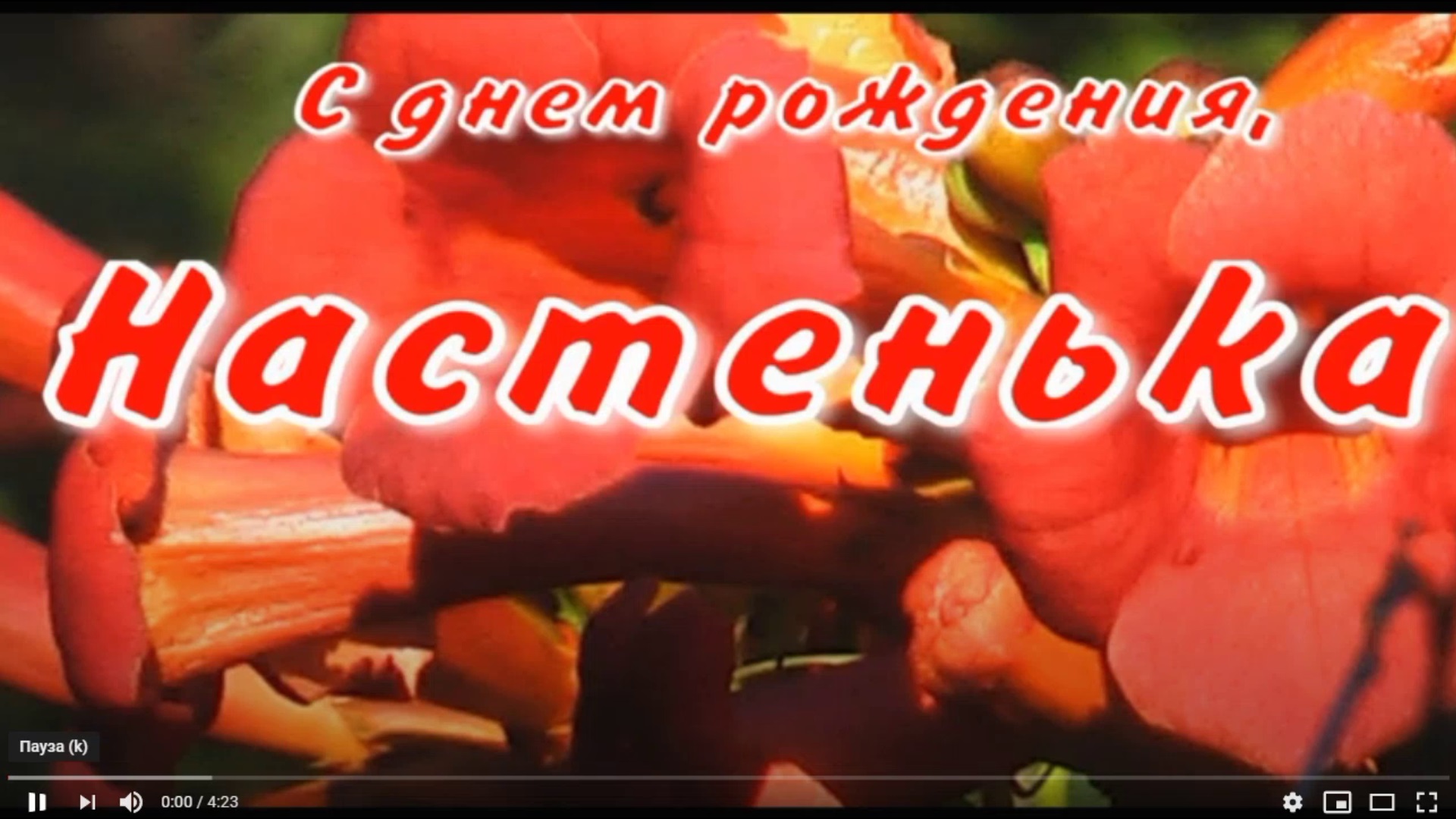 НАСТЕНЬКА, С ДНЕМ РОЖДЕНИЯ смотреть онлайн