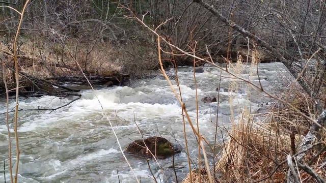 Ручей весной смотреть онлайн
