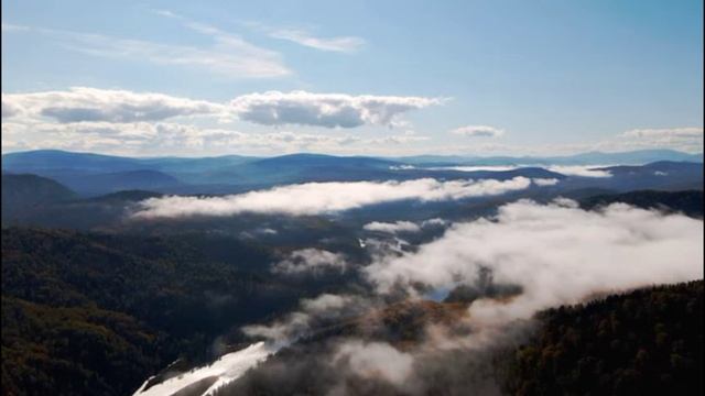 Голубая тайга.mp4 смотреть онлайн