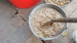 Как кормить свиней. Как с экономить на кормах. Выгодное кормление свиней.