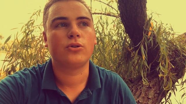 Лапша С Курицей И Овощами В Сливочном Соусе смотреть онлайн