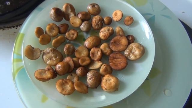 Гриб ДОЖДЕВИК. Как готовить дождевики. Как приготовить дождевики. ? Гриб Грибы Рецепт Рецепты Тайга смотреть онлайн