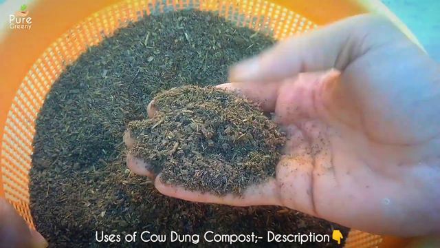 Making The Best Liquid Fertilizer for Jasmine Plant! (Instant Results). смотреть онлайн