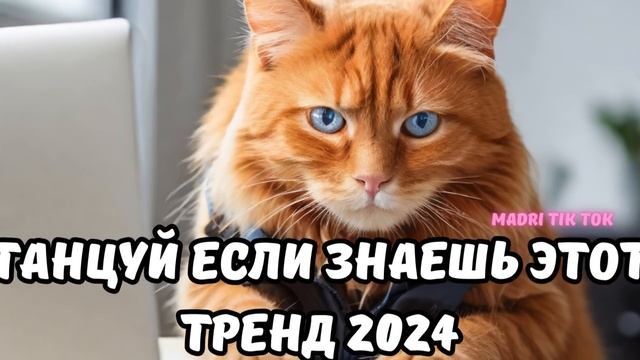 ?ТАНЦУЙ ЕСЛИ ЗНАЕШЬ ЭТОТ ТРЕНД 2024? смотреть онлайн