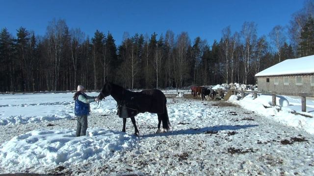Альтан, работа в руках 01 03 22 смотреть онлайн