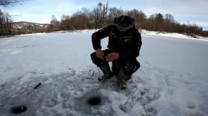 Зимняя рыбалка в тайге. Бешеный клев ленка и хариуса на короеда. Зимняя рыбалка в Сибири.