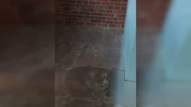 Монтаж фальшпола в бизнес центрах Москвы смотреть онлайн