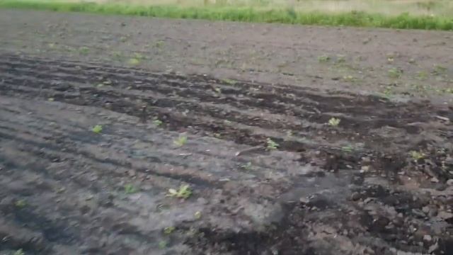 ОБРАБОТКА ГРЯДОК МОТОБЛОКОМ смотреть онлайн