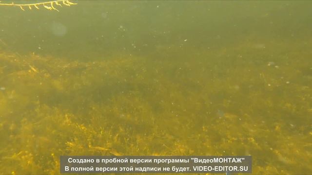 Подводная Охота в Августе, Балхаш смотреть онлайн