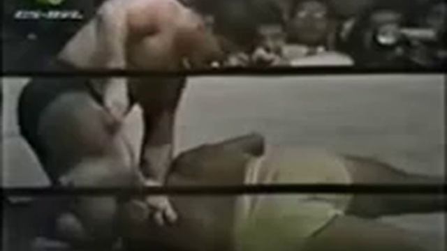 the top ten moves of bruno sammartino смотреть онлайн