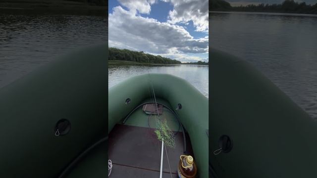 SEA-PRO T 3S смотреть онлайн