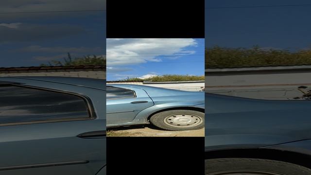 VID_20230915_125425.mp4