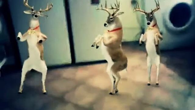 Танцующие олени смотреть онлайн