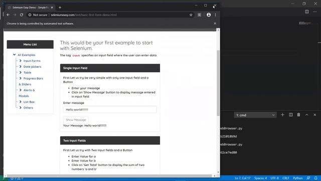 Selenium Automating Web Browsing Python смотреть онлайн