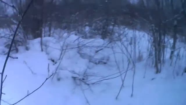 Мотобуксировщик толкач с реверсом по лесу смотреть онлайн