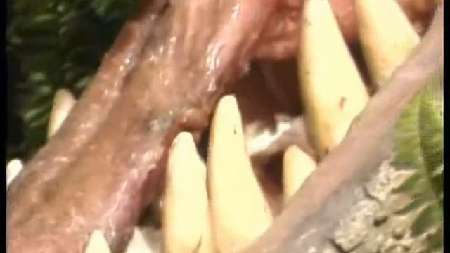 Сотворение в 21-м веке. ч. 6 | Creation in the 21 Century (6) смотреть онлайн