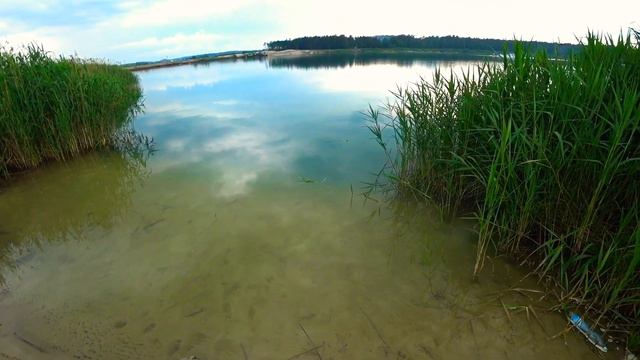 ЛОВЛЯ ОКУНЯ НА КРАСИВОМ ОЗЕРЕ.ПОСИДЕЛКИ В ЛЕСУ.ПРЯЧЕМСЯ ОТ ДОЖДЯ.ЯСНИСКИЙ КАРЬЕР смотреть онлайн