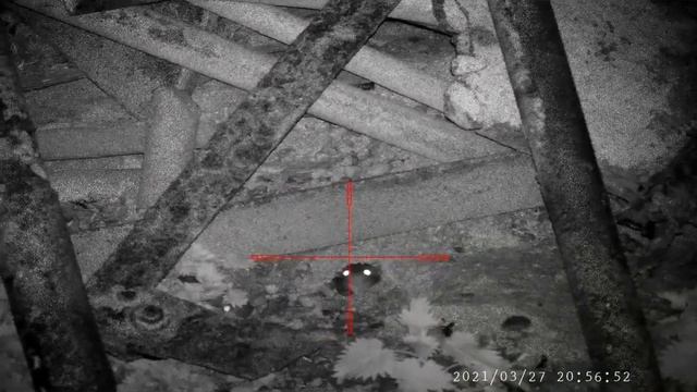 48 rats on the farm--hti a3 thermal spotter--fx wildcat mk3--pard nv008 lrf--night vision shooting смотреть онлайн