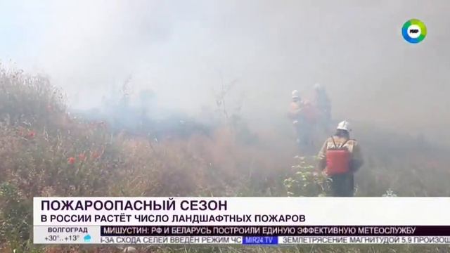 МИР, Рост площади ландшафтных пожаров в России, 23 апреля 2024 смотреть онлайн