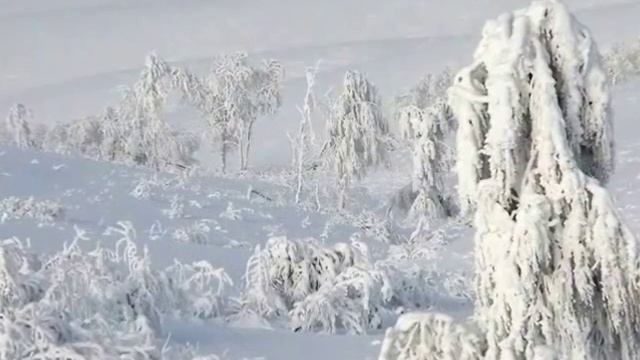 Заповедник Оренбургский смотреть онлайн
