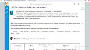 Видеоурок по русскому языку 5 класс "Склонения имён существительных"