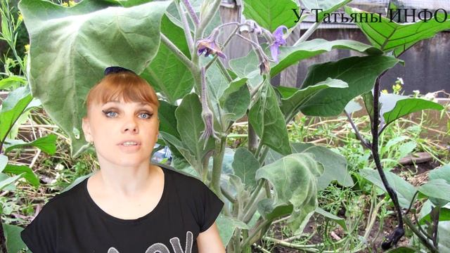 Фотография Моделей и Фэшн-съемок