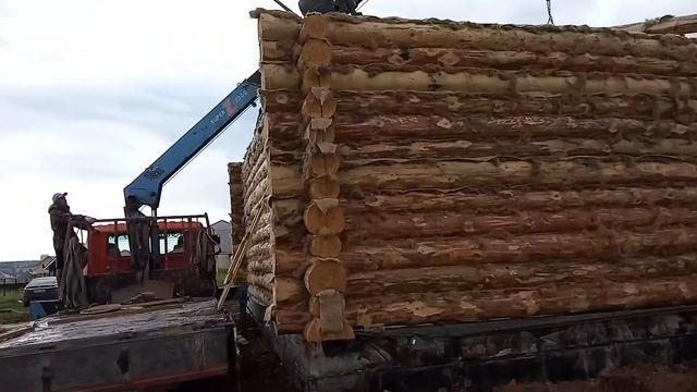 Процесс сборки сруба с размерами 7х9 в чашу Осоргино смотреть онлайн