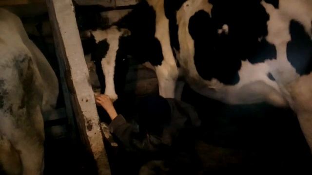 Супруга заболела.Я с ребятами управляемся на дворе.Жизнь в деревне. смотреть онлайн