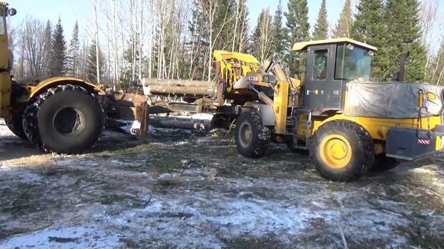 Поездка в тайгу за лесом.mp4 смотреть онлайн