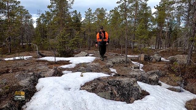 Ahvenen pyynnissä. How I can catch perch? Lake Inari, Lapland, Finland. イナリ湖 とまり木 смотреть онлайн