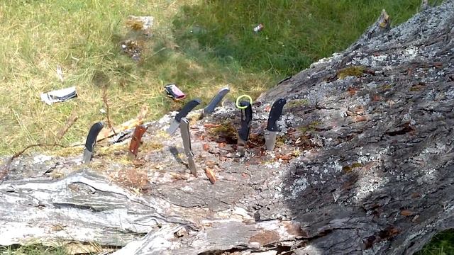 продолжение обзора №2 Ontario EKA Cold Steel Kershaw C.R.K.T. Boker +Spyderco смотреть онлайн