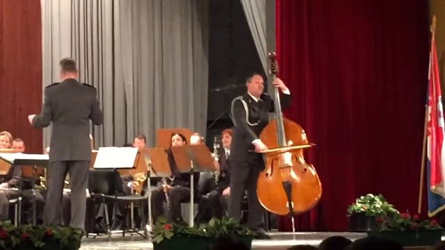 Karneval životinja - SLON - Camille Saint Saens смотреть онлайн