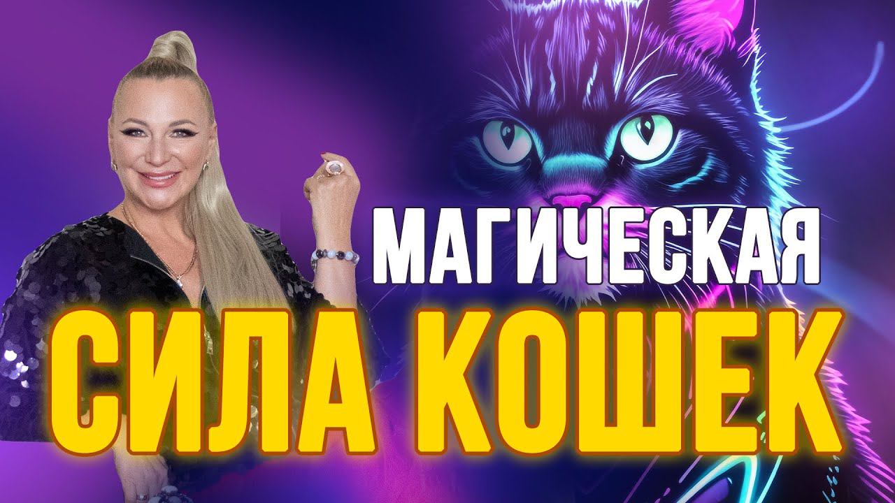 Магическая сила кошек Притягиваем удачу и исполняем желания ✨ смотреть онлайн