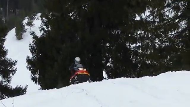 Lynx X-Trim SC 800R смотреть онлайн