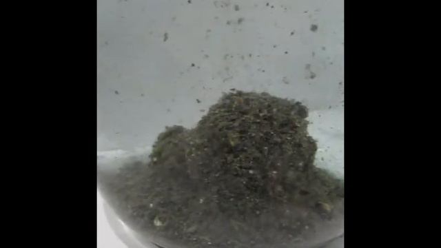 ZHOR #zhor new 2017 лещ черный смотреть онлайн