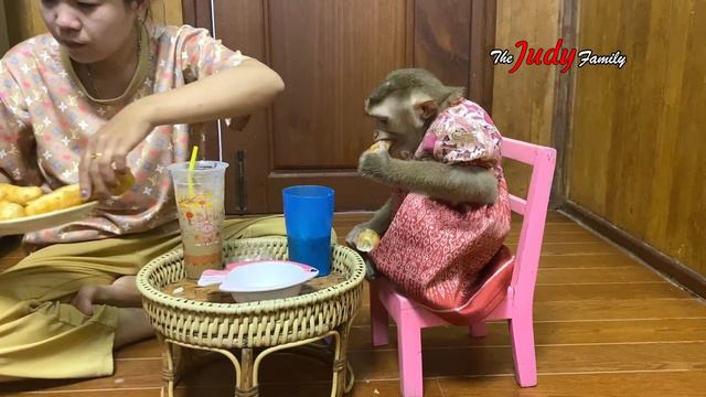 Genius Judee Walknq Mom To Have Milk & Yummy Cake смотреть онлайн
