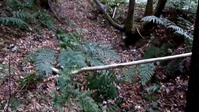 The Roman Trenches - Coilsfield's Deer Hay, Tarbolton смотреть онлайн