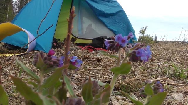 Усьва. Первомайский сплав по реке Усьва в Пермском крае. смотреть онлайн