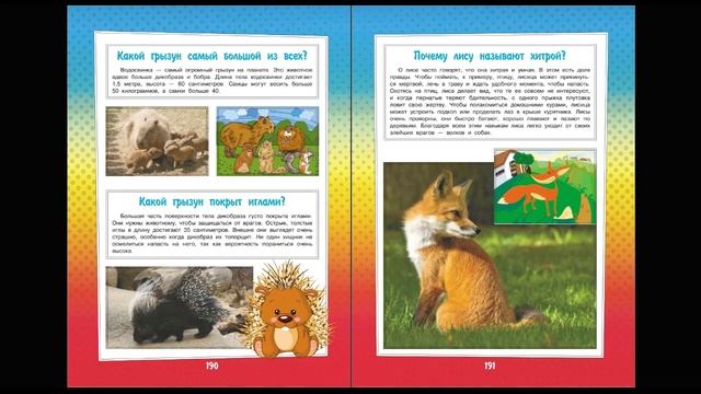 Что? Зачем? Почему? Растительный и животный мир 4 смотреть онлайн