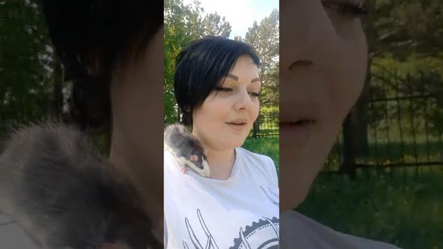 Антибиотики для растений. смотреть онлайн